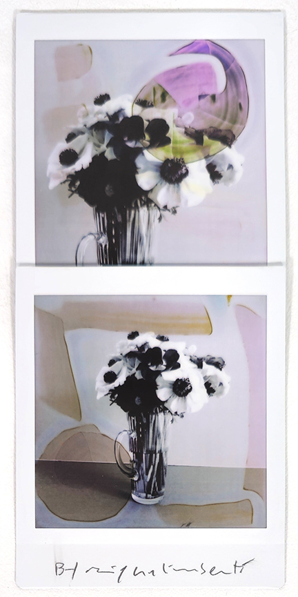 MAURIZIO GALIMBERTI, "BiFlowers"