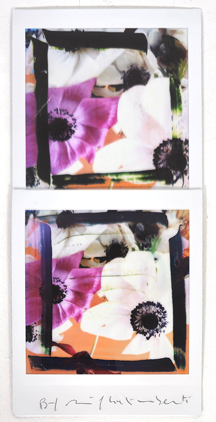 MAURIZIO GALIMBERTI, "BiFlowers"