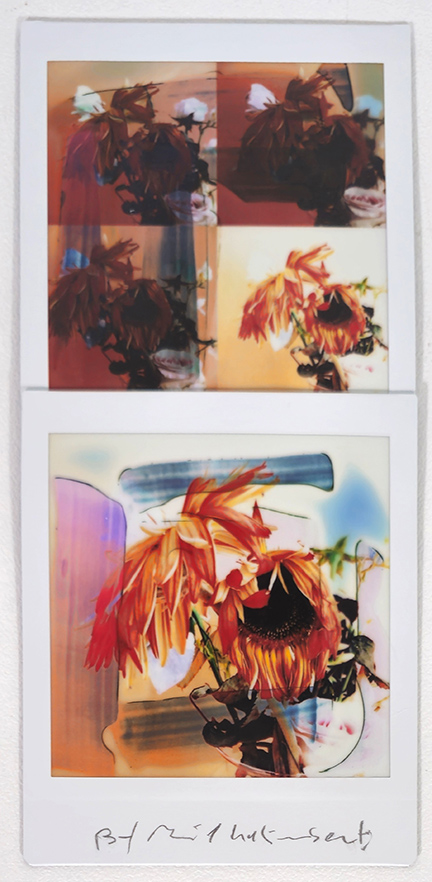 MAURIZIO GALIMBERTI, "BiFlowers"