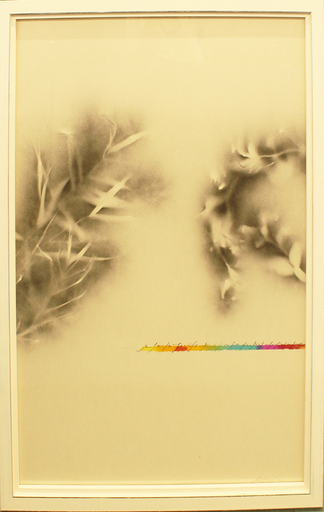 ALFREDO RAPETTI MOGOL, "Senza titolo", 2012