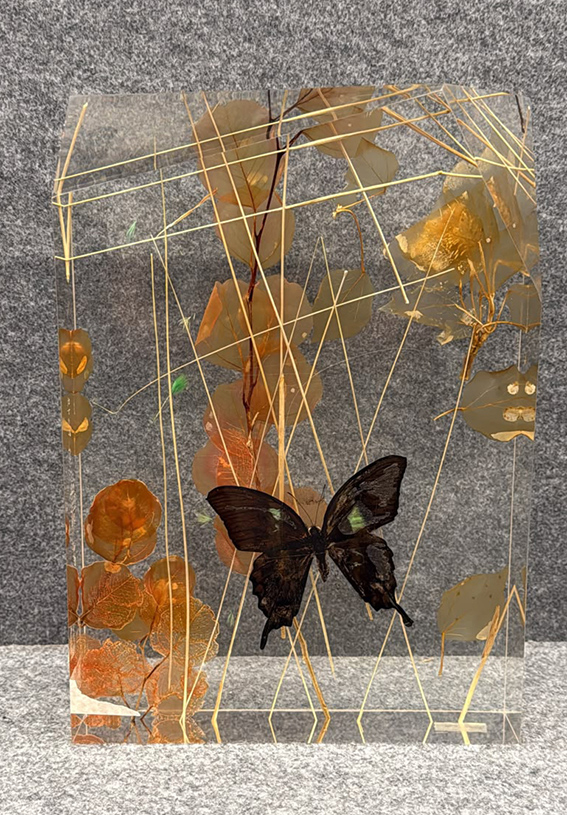 LORENZO VISCIDI BLUER, "Mystic flight", anni 2000